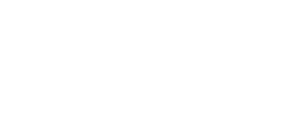 logo black bison en blanco